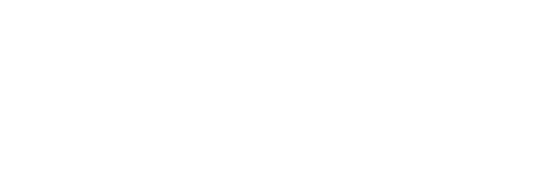 Transcending Horizons Logo